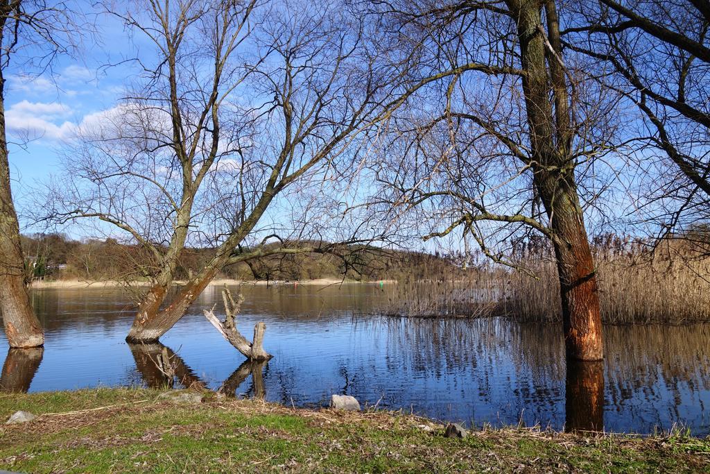 Ferienhaus "Am Gutspark" Alt Tucheband Екстер'єр фото