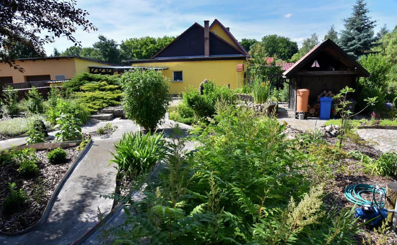 Ferienhaus "Am Gutspark" Alt Tucheband Екстер'єр фото